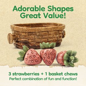 TEEWY Strawberry Basket Small Animal Chew Toys, 4 count