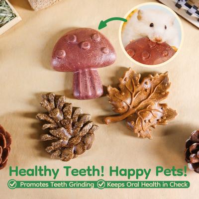 Show full view: TEEWY Forest Forage Small Animal Chew Toy Set, 3 count slide 4 of 5