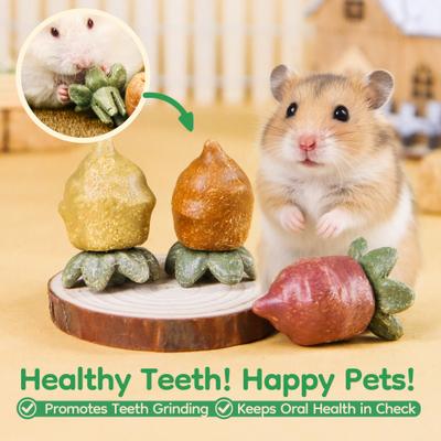 Show full view: TEEWY Beet-Shaped Small Animal Chew Toy Set, 3 count slide 4 of 5