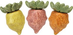 TEEWY Beet-Shaped Small Animal Chew Toy Set, 3 count