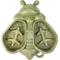 Show in main carousel: TEEWY Bee Shaped Small Animal Chew Toy & Edible Feeder, Green slide 1 of 5