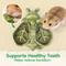 Show in main carousel: TEEWY Bee Shaped Small Animal Chew Toy & Edible Feeder, Green slide 4 of 5