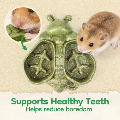 Show full view: TEEWY Bee Shaped Small Animal Chew Toy & Edible Feeder, Green slide 4 of 5