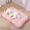 Show in main carousel: Fairela Double Sided Plush Square Cat Bed Mat with Raised Edges, Medium, Pink slide 3 of 9
