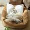Show in main carousel: Fairela Anti-Fur Plush Cat Bed with Removable Cushions, Brown/White, Medium slide 6 of 9