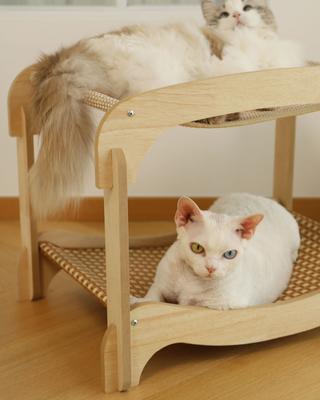 Show full view: Fairela Two-Tier Cat Lounger Bed with Wooden Frame Hammock, Beige, Large slide 6 of 9