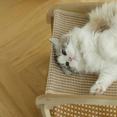 Show full view: Fairela Two-Tier Cat Lounger Bed with Wooden Frame Hammock, Beige, Large slide 4 of 9