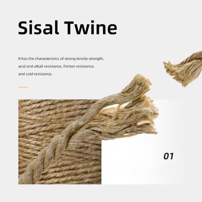 Show full view: Fairela Jute Rope Cat Scratcher Bed for Lounging & Claw Care, Beige, Large slide 6 of 9