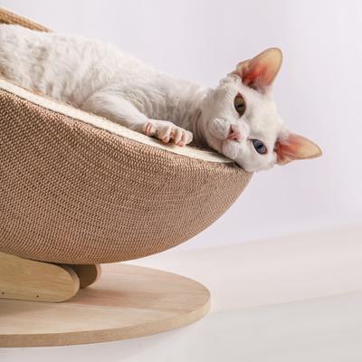Show full view: Fairela Jute Rope Cat Scratcher Bed for Lounging & Claw Care, Beige, Large slide 5 of 9