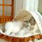 Show in main carousel: Fairela French-Style Rocking Cat Bed with Wooden Stand & Canopy, White, Medium slide 3 of 9