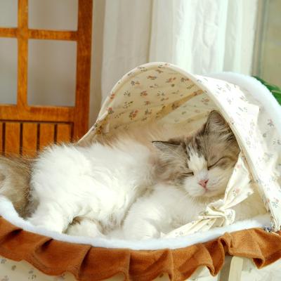 Show full view: Fairela French-Style Rocking Cat Bed with Wooden Stand & Canopy, White, Medium slide 3 of 9