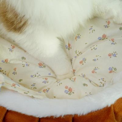 Show full view: Fairela French-Style Rocking Cat Bed with Wooden Stand & Canopy, White, Medium slide 5 of 9