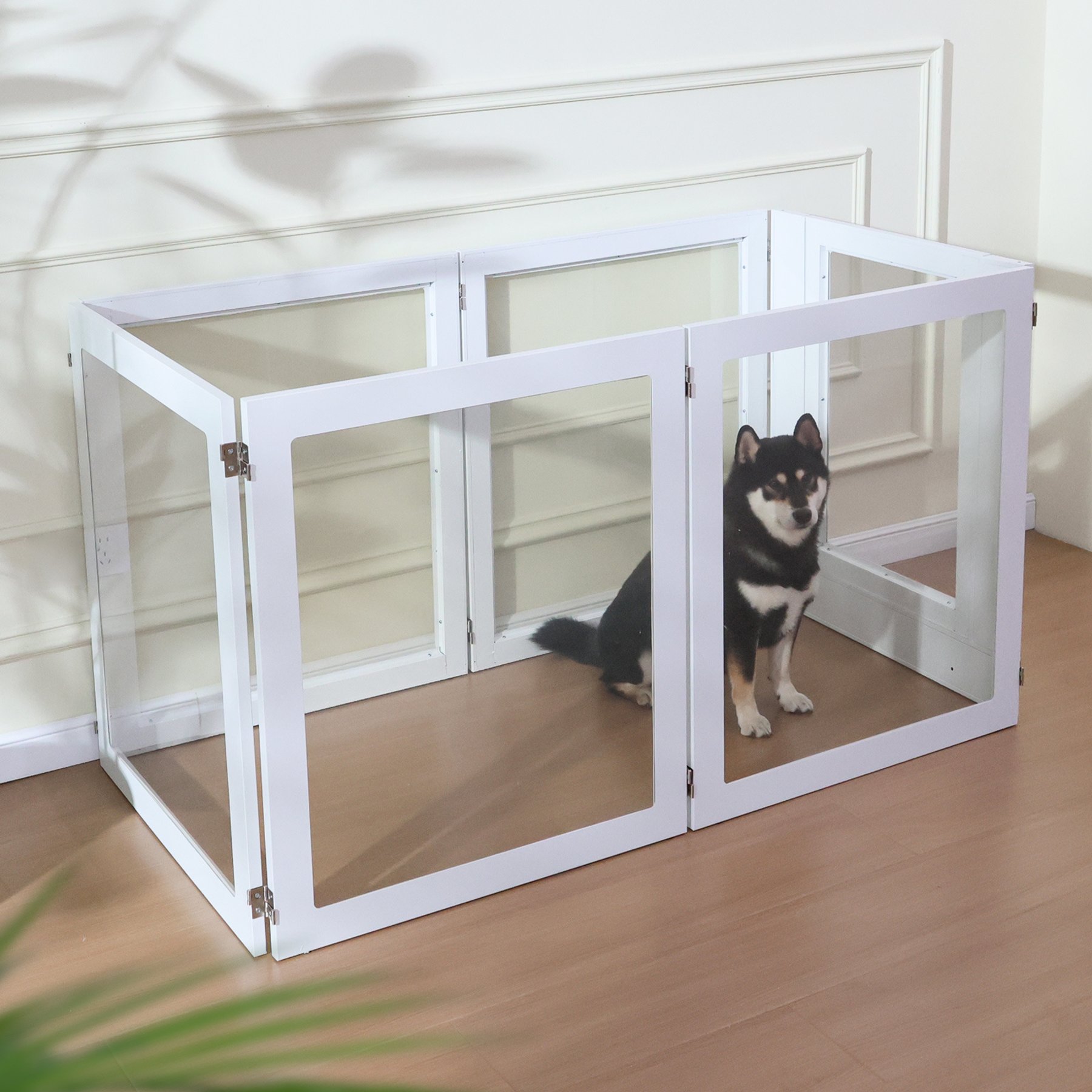 RYPetmia Heavy Duty Clear Acrylic Dog, Cat & Small Pet Playpen with Door, Small, 6-panel, White