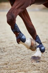 Stubben Hybrid Carbon Tendon Boots, Black, Large slide 2 of 6