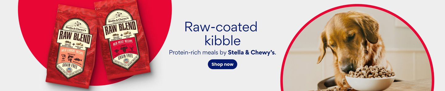 Raw-coated kibble Protein-rich meals by Stella & Chewy's. Shop now.