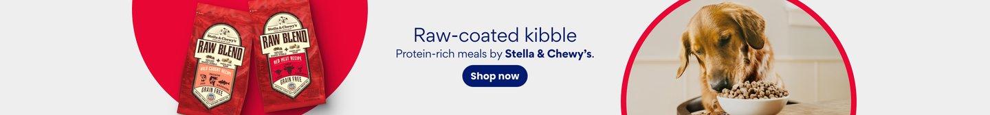 Raw-coated kibble Protein-rich meals by Stella & Chewy's. Shop now.