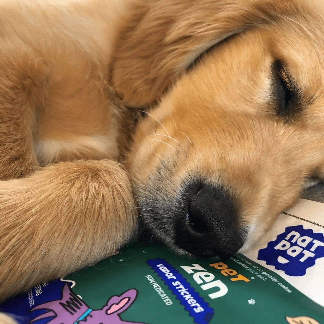NATPAT Pet Zen Vapor Stickers Natural Calming Aromatherapy for Dogs, 28 ...