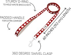 Sassy Woof Little Love Polyester Dog Leash, 5-ft long, 4/5-in wide slide 2 of 5