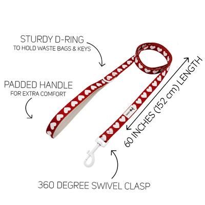 Show full view: Sassy Woof Little Love Polyester Dog Leash, 5-ft long, 4/5-in wide slide 3 of 5