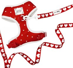Sassy Woof Little Love Dog Harness & Leash, X-Small: 14 to 19-in chest