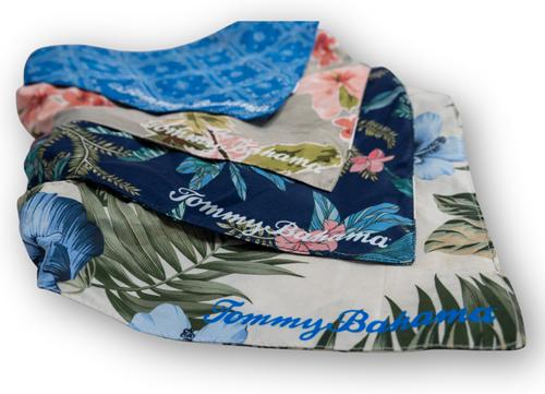 Show full view: Tommy Bahama Pet Dog Bandana, Coconut, Small slide 4 of 4