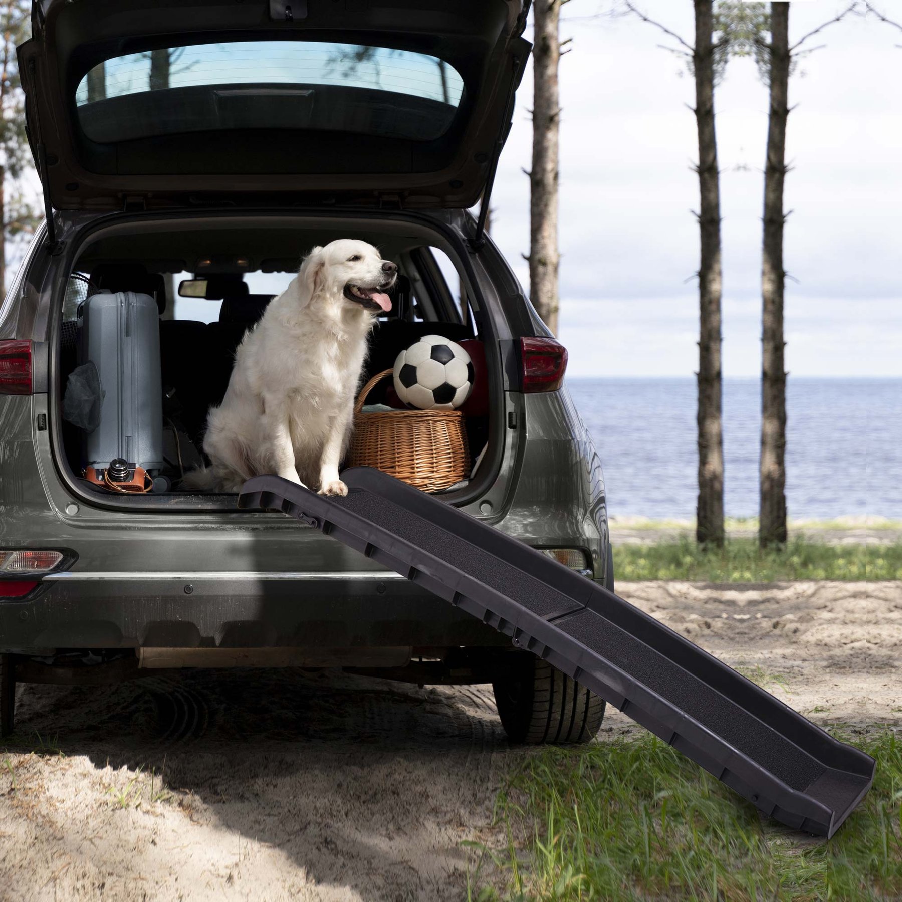 jansno Portable Foldable Climbing Ladder Dog Ramp, Black