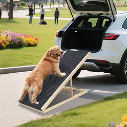 jansno 16-in Adjustable Foldable Dog Ramp, Natural Wood