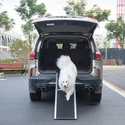 jansno Foldable Aluminum Dog Ramp Climbing Ladder with PVC Handle, Black slide 2 of 5