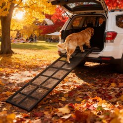 jansno Folding Portable Car Dog Ramp, Black, X-Large