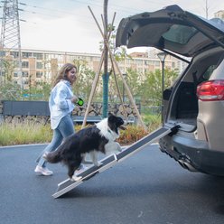 jansno Foldable Aluminum Dog Ramp Climbing Ladder with PVC Handle, Black