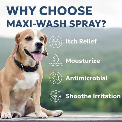 Show full view: Forticept Maxi-Wash Antimicrobial Skin & Wound Treatment Spray for Dogs, Cats, Horses & Small Pets, 8-oz bottle slide 4 of 9