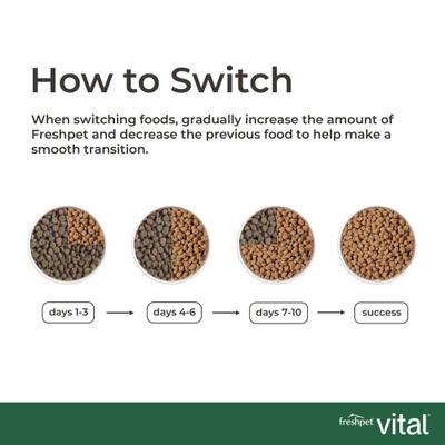 Show full view: Freshpet Vital Chicken Recipe with Antioxidant-Rich Vegetables & Eggs Fresh Cat Food, 1-lb bag, case of 6 slide 10 of 11