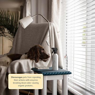 Show full view: Begley's Enzymatic Cleaner for Urine Pet Stain & Odor Remover, 24-fl oz, 1 count slide 5 of 6