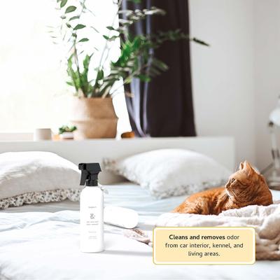 Show full view: Begley's Enzymatic Cleaner for Urine Pet Stain & Odor Remover, 24-fl oz, 1 count slide 4 of 6