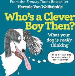 Who's a Clever Boy, Then?