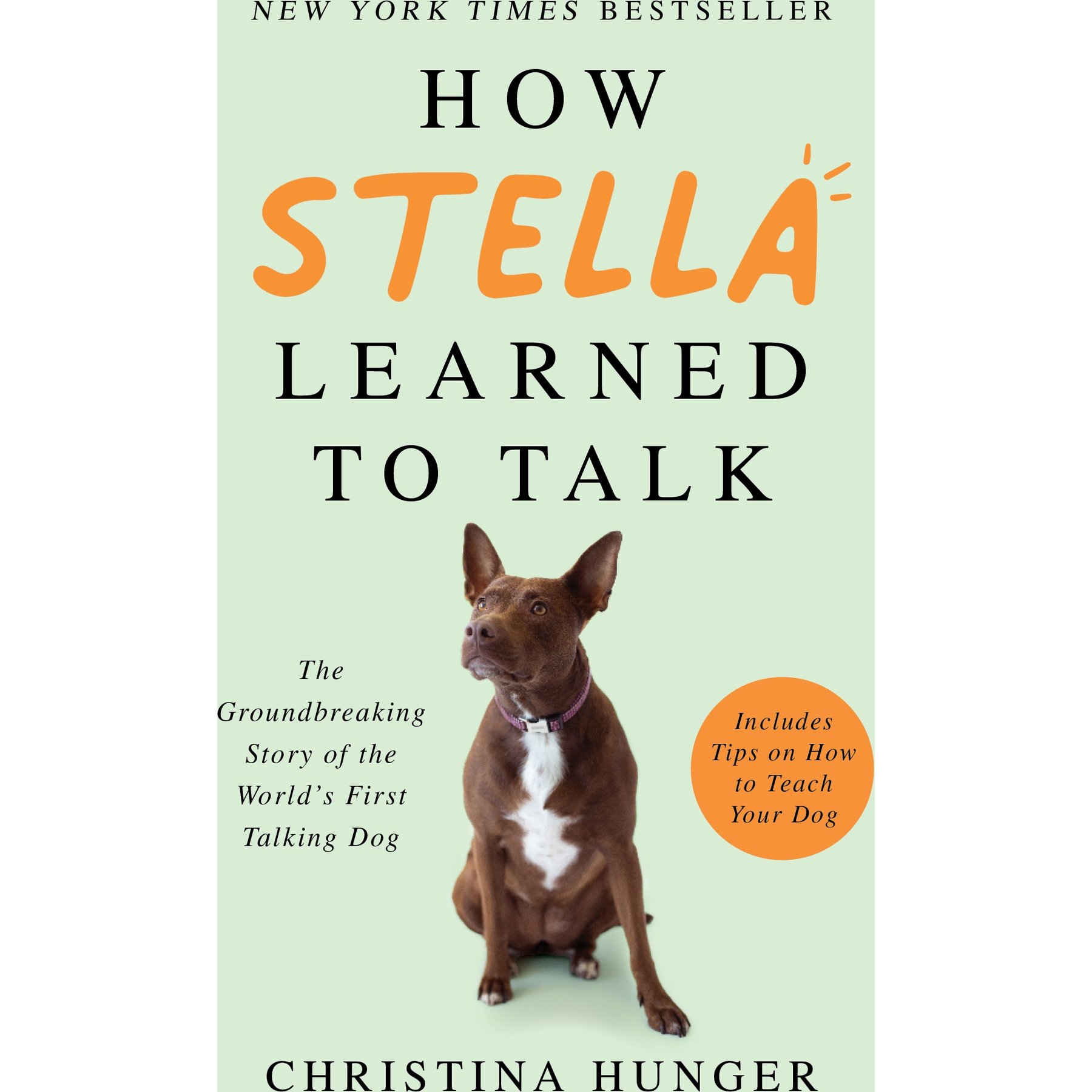 How Stella Learned to Talk