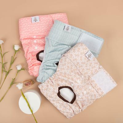 Show full view: CuteBone Reusable Female Dog Diapers, 3 count, Large: 20 to 27-in waist, Leaf slide 8 of 11