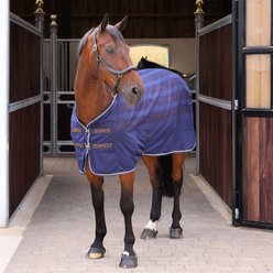 Shires Equestrian Products Tempest Original Scrim Cooler Horse Rug, Ink, Ink, 66-in