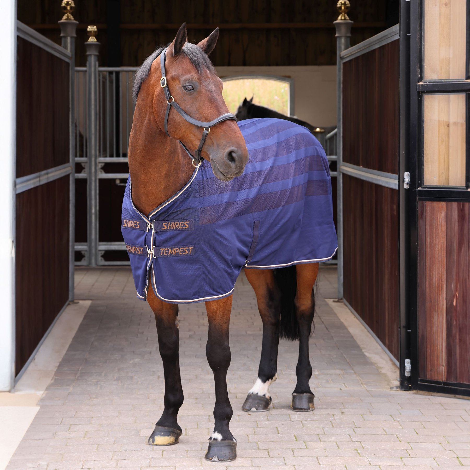 Shires Equestrian Products Tempest Original Scrim Cooler Horse Rug, Ink, Ink, 81-in