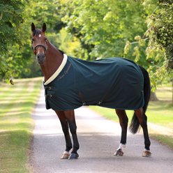 Shires Equestrian Products Deluxe Horse Stable Sheet, Green, 72-in