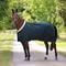 Show in main carousel: Shires Equestrian Products Deluxe Horse Stable Sheet, Green, 60-in slide 1 of 5