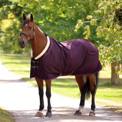 Shires Equestrian Products Deluxe Horse Stable Sheet, Black Cherry, 63-in