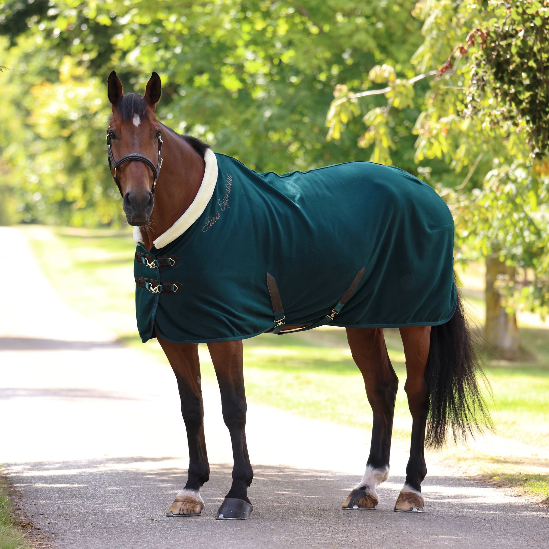 Shires Equestrian Products Deluxe Fleece Horse Rug, Green, 75-in