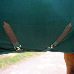 Shires Equestrian Products Deluxe Fleece Horse Rug, Green, 63-in slide 2 of 5