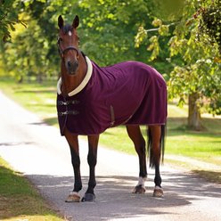 Shires Equestrian Products Deluxe Fleece Horse Rug, Black Cherry, 66-in