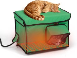 Coziwow All-Weather Insulated Waterproof Plastic Outdoor Cat House with Heating Pad, Green, Medium