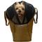 Show in main carousel: Bespoke Paws Jet-Setter Caddie Airline Approved Bag Dog Carrier, Black, 18-in slide 1 of 8
