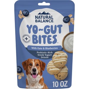 Natural Balance Yo-Gut Bites with Oats, Blueberries & Greek Yogurt Drizzle Crunchy Dog Treats, 10-oz bag