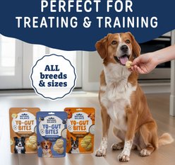 Natural Balance Yo-Gut Bites with Pumpkin & Cranberries Crunchy Dog Treats, 10-oz bag slide 2 of 8