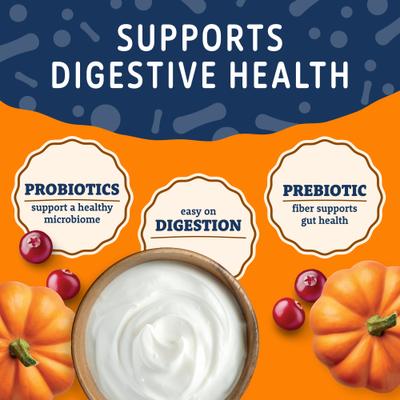 Show full view: Natural Balance Yo-Gut Bites with Pumpkin & Cranberries Crunchy Dog Treats, 10-oz bag slide 4 of 9